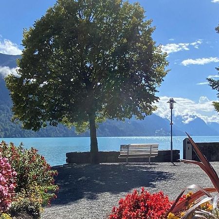 Holiday Apartments Falke برينز المظهر الخارجي الصورة