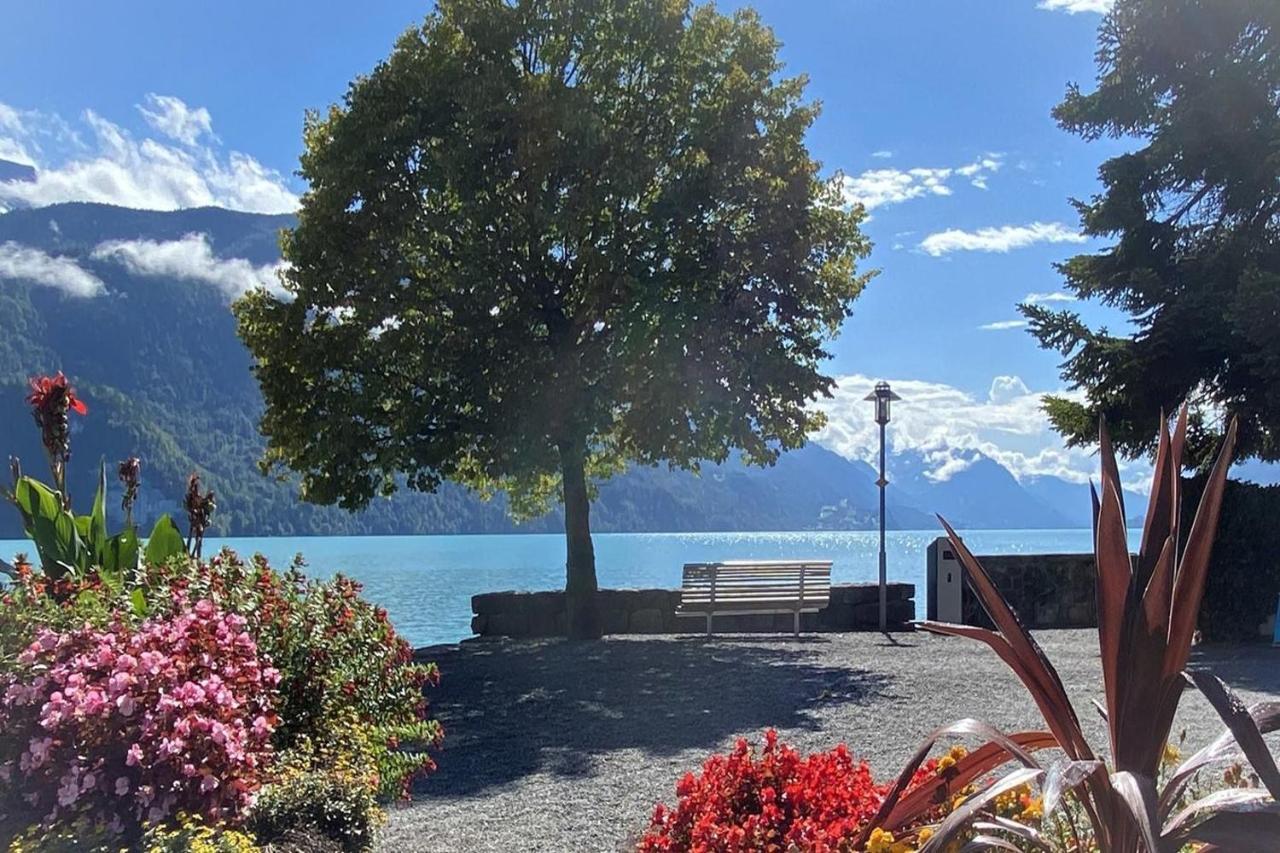 Holiday Apartments Falke برينز المظهر الخارجي الصورة